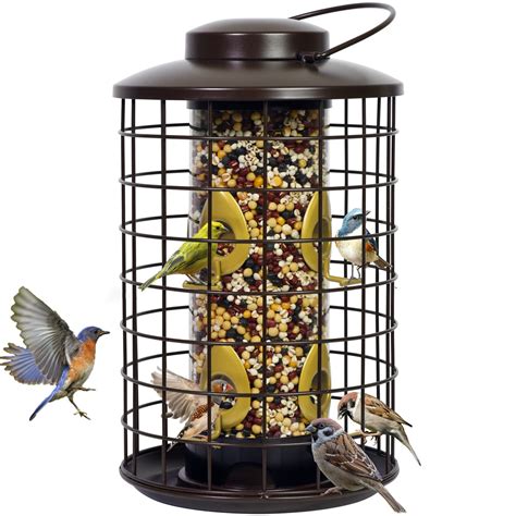 Feeder: Feeder 3 .